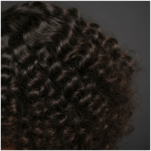 Raw Burmese Curly Frontal Texture
